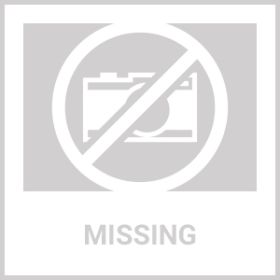 Metal Towed Rake (Option: Black and Silver)